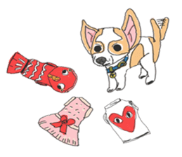 Zeen, the Chihuahua sticker #2092073