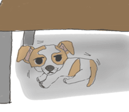 Zeen, the Chihuahua sticker #2092087