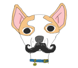 Zeen, the Chihuahua sticker #2092092