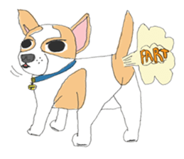 Zeen, the Chihuahua sticker #2092098