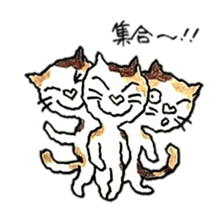 CATS CATS GETS sticker #2092526
