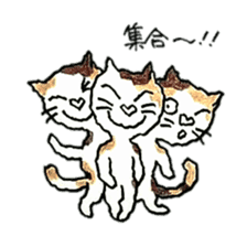 CATS CATS GETS sticker #2092526