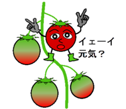 Tomato brothers sticker #2093221