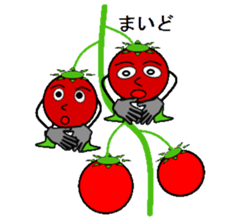 Tomato brothers sticker #2093254
