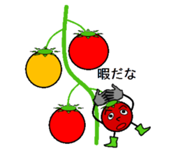 Tomato brothers sticker #2093256