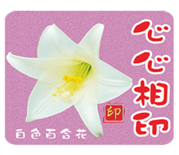 Popular funny cute:childhood sticker #2093436