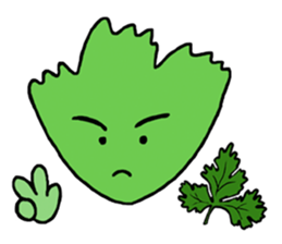 The cute coriander stikers sticker #2094421