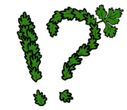 The cute coriander stikers sticker #2094454