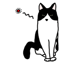 A cat seldom talks sticker #2096413