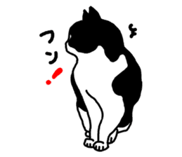 A cat seldom talks sticker #2096417