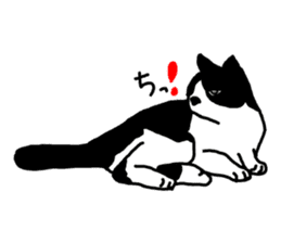 A cat seldom talks sticker #2096418