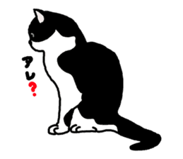 A cat seldom talks sticker #2096429