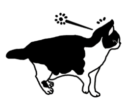 A cat seldom talks sticker #2096432