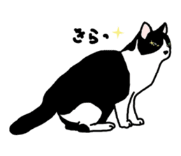 A cat seldom talks sticker #2096435