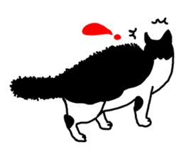 A cat seldom talks sticker #2096436