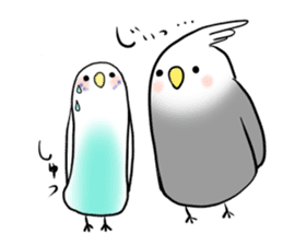 budgie&cockatiel sticker #2097265