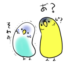 budgie&cockatiel sticker #2097272