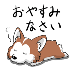 Corgi Caraway sticker #2097734