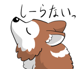 Corgi Caraway sticker #2097736