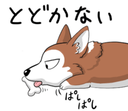 Corgi Caraway sticker #2097744