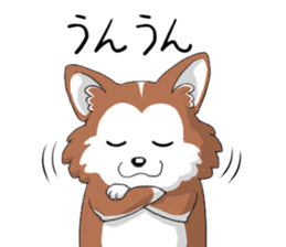 Corgi Caraway sticker #2097745