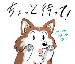 Corgi Caraway sticker #2097757