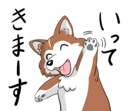 Corgi Caraway sticker #2097772