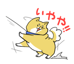 The animals of a round eye sticker #2099110