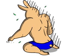 Mucle Rabbit sticker #2101263