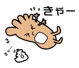 The sole sticker #2105591