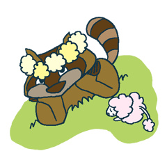 racoon loving a shape of cloud