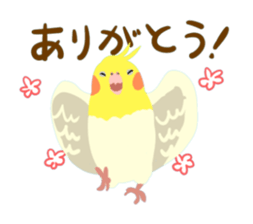 40birds sticker #2106309