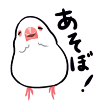 40birds sticker #2106312