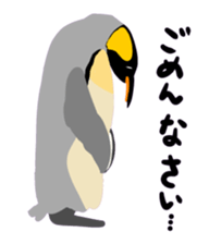 40birds sticker #2106313