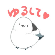 40birds sticker #2106314