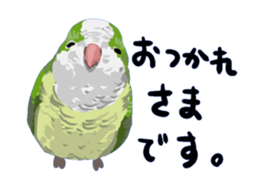 40birds sticker #2106315