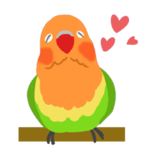 40birds sticker #2106318