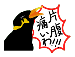 40birds sticker #2106319