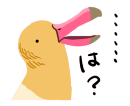 40birds sticker #2106320