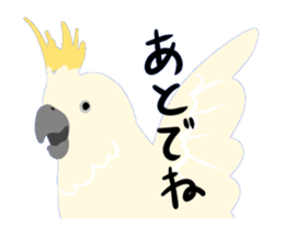 40birds sticker #2106322