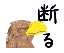 40birds sticker #2106324