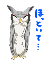 40birds sticker #2106325