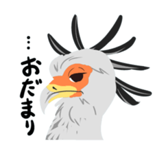 40birds sticker #2106326