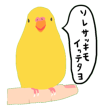 40birds sticker #2106337