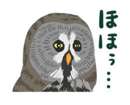 40birds sticker #2106338