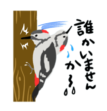 40birds sticker #2106340