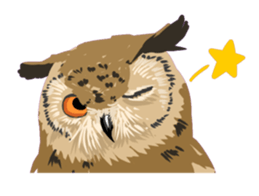 40birds sticker #2106342