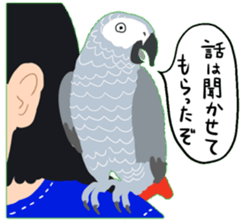 40birds sticker #2106343