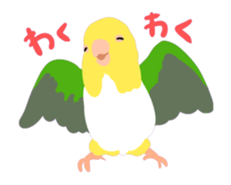 40birds sticker #2106344