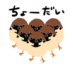 40birds sticker #2106348